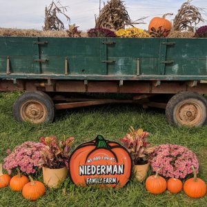 Vineyard Couples Date Night - Niederman Family Farm