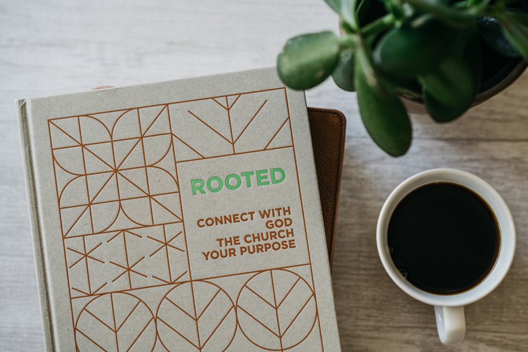 Rooted Group Experience (Life Groups)
