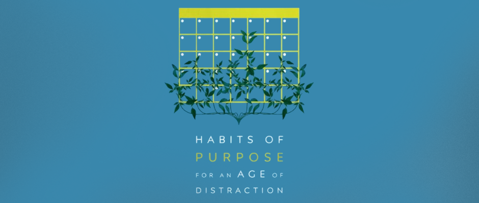 4 Habits Vineyard Men Study