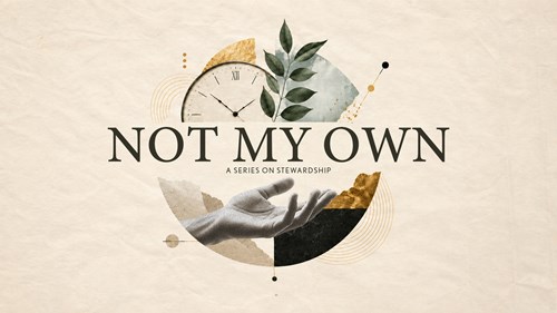 Header Image for Not My Own Week One