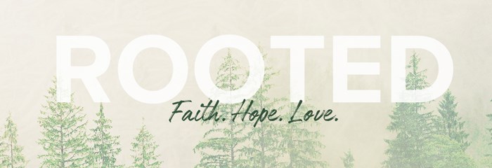 Rooted Group Experience (Women's Community)