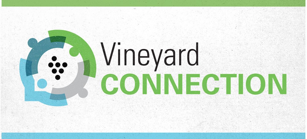 Vineyard Connection
